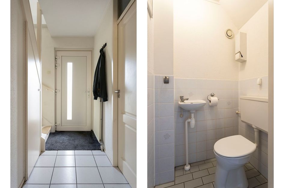 Hermelijn 52