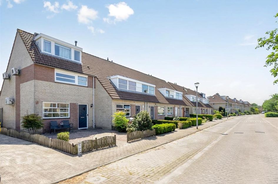 Roerdomp 37