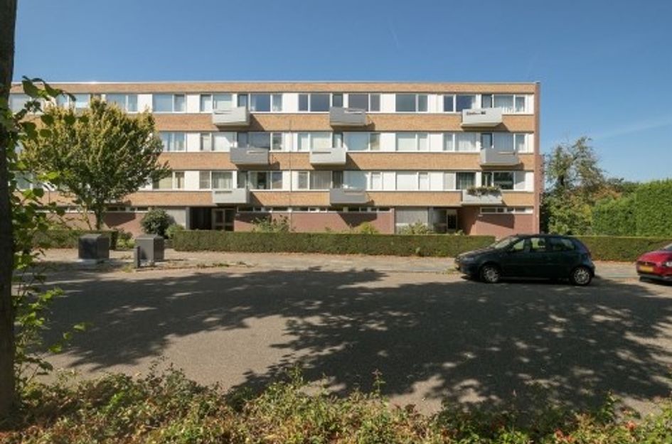 Hogeschoorweg ONG