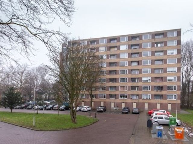 Fluitekruidweg ONG, Zaandam