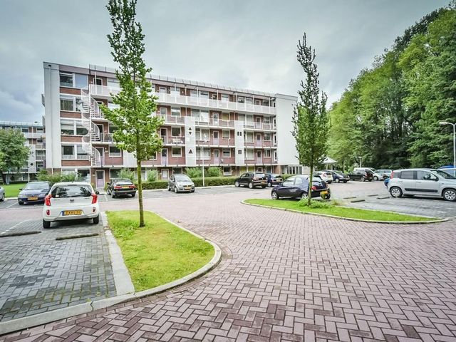 Leverkruidweg ONG, Zaandam