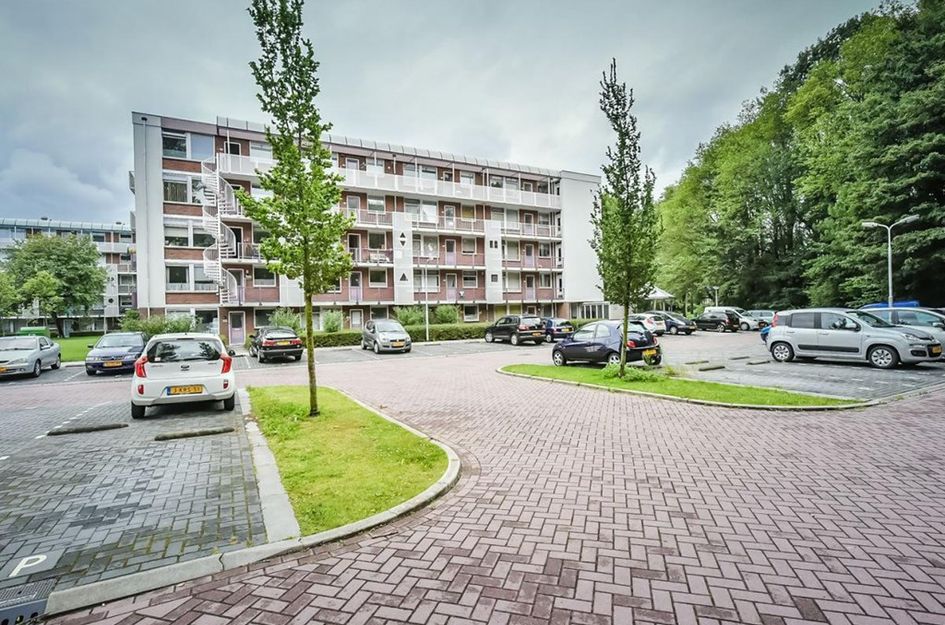 Leverkruidweg ONG