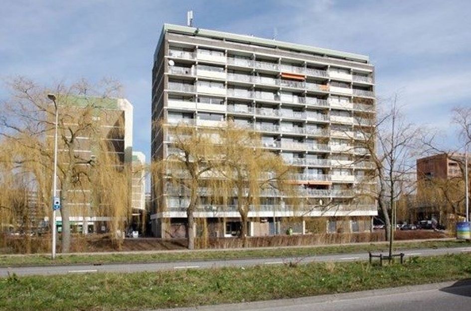 Eesterwaard ONG