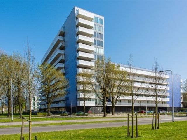 Vijfhagen ONG, Breda