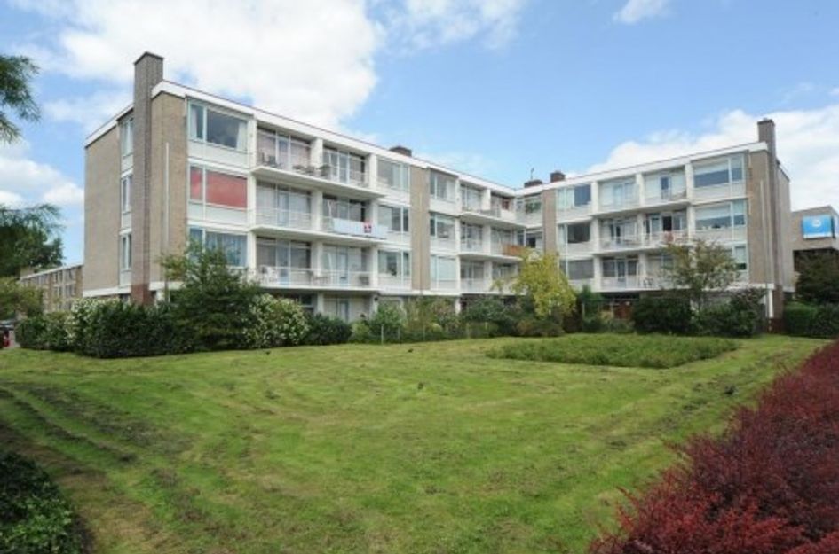 Storklaan ONG