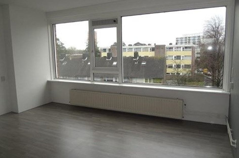 Van Banchemhof ONG
