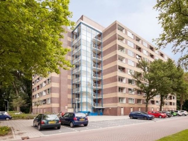 Fluitekruidweg ONG, Zaandam
