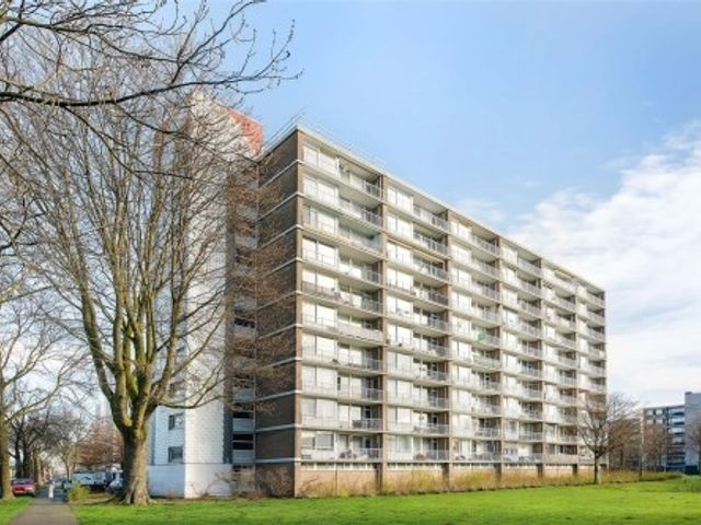 Antwerpenstraat ONG, Breda