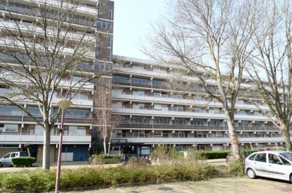 De Brink ONG
