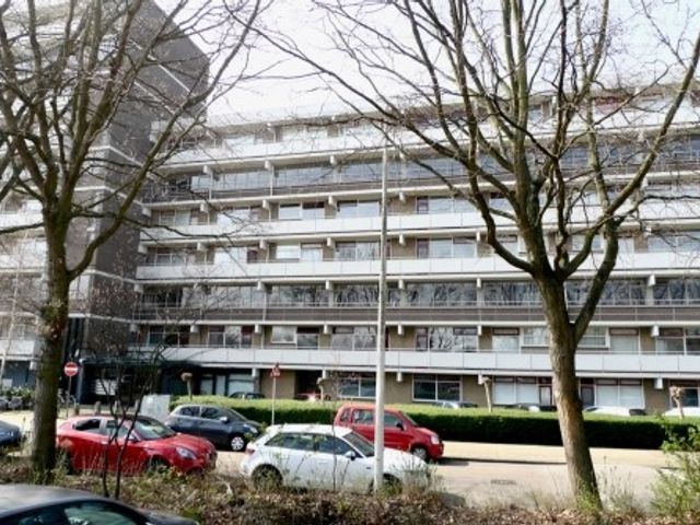 De Brink ONG, Den Haag