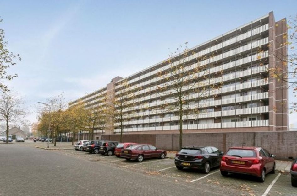 Nederlandplein ONG