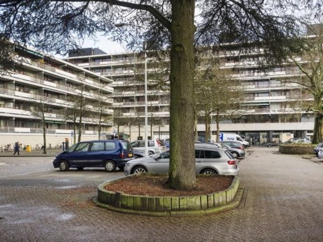 Bomanshof ONG, Eindhoven