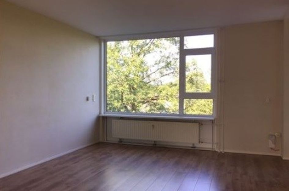Banckertlaan ONG