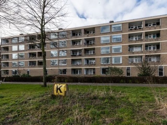 Paramaribostraat ONG, Leiden