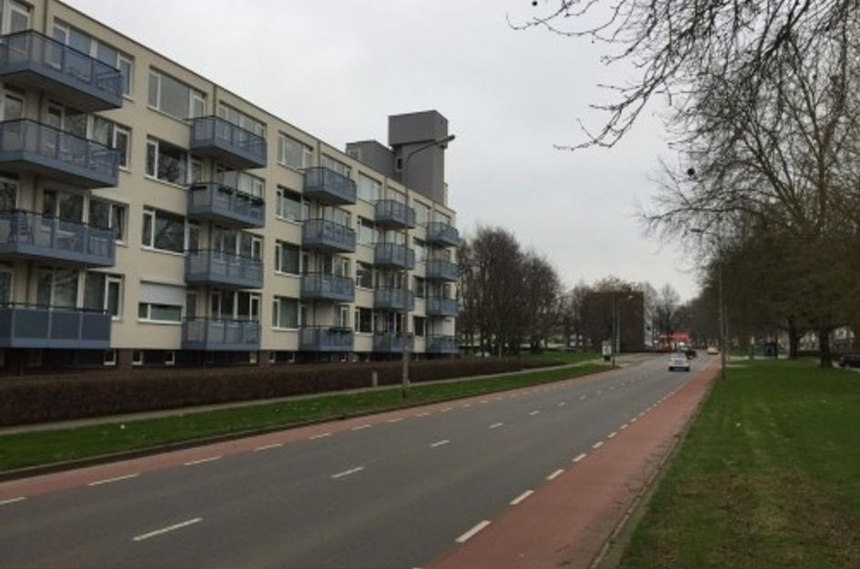 Florijnruwe ONG