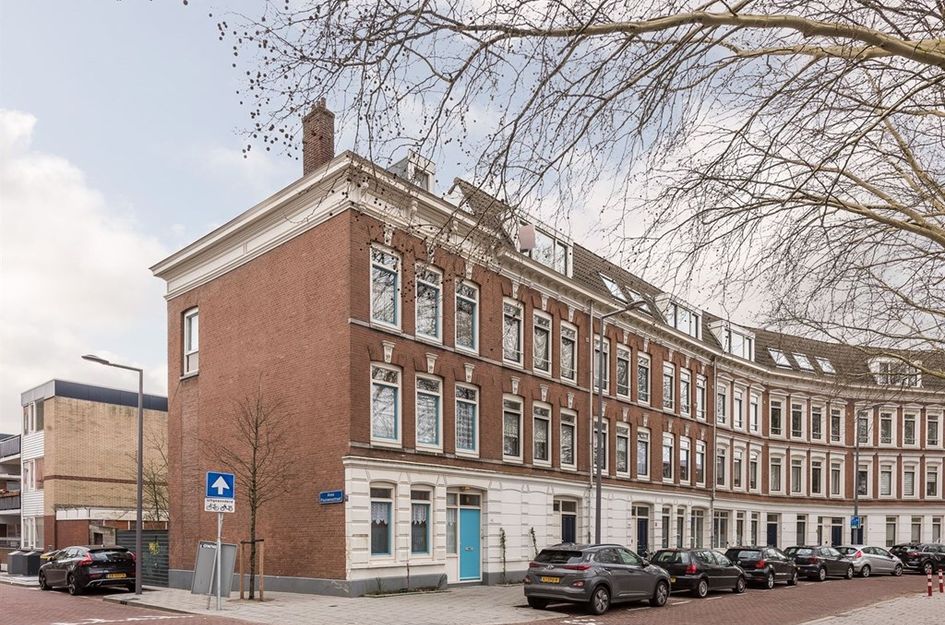 Diergaardesingel 