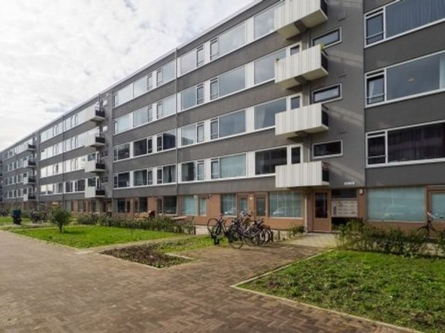Auriollaan ONG, Utrecht