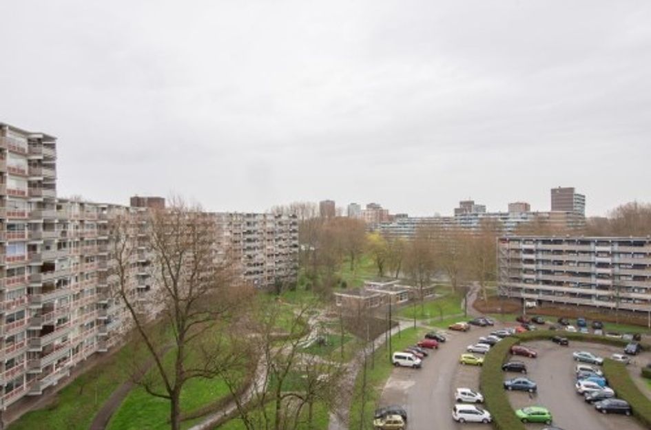 Jonkerbos ONG