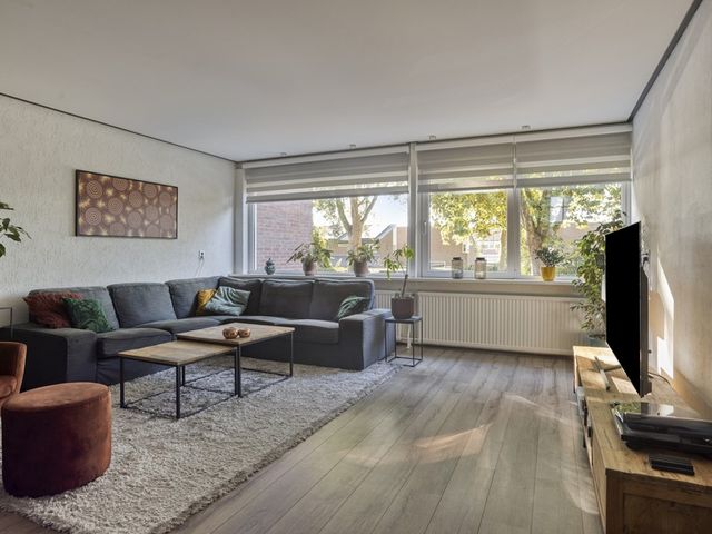 Baljuw 79, Hoorn