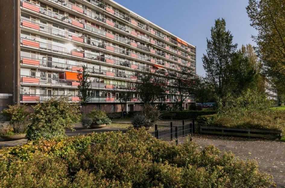 Trekvogelweg 