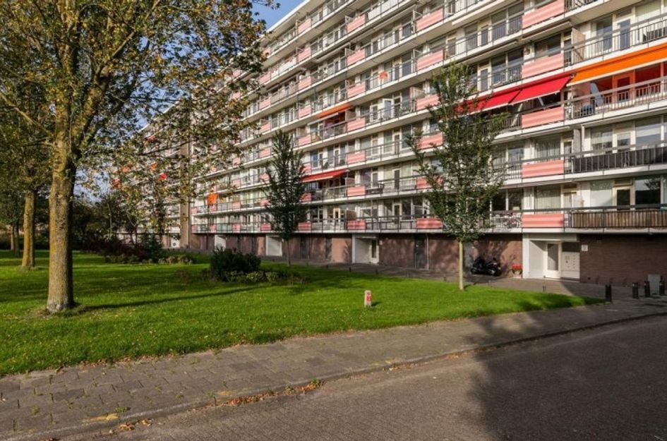 Trekvogelweg 