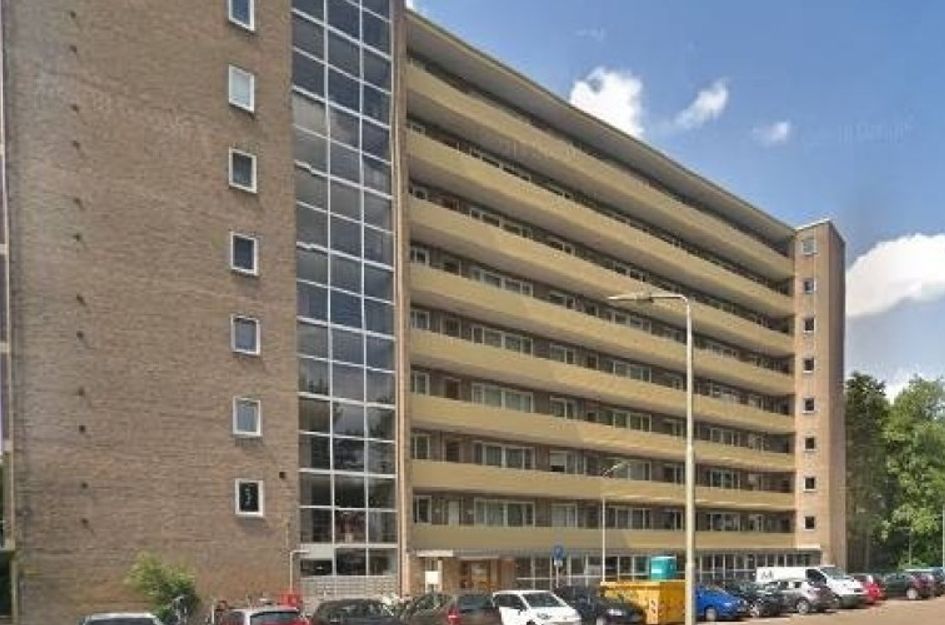 Populierenlaan 