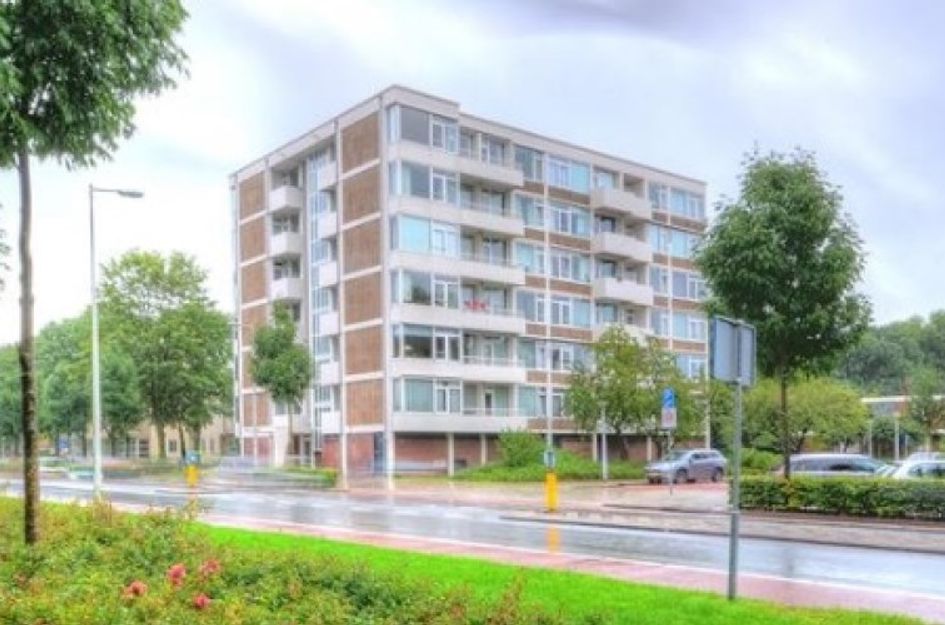 Van Boshuizenstraat 