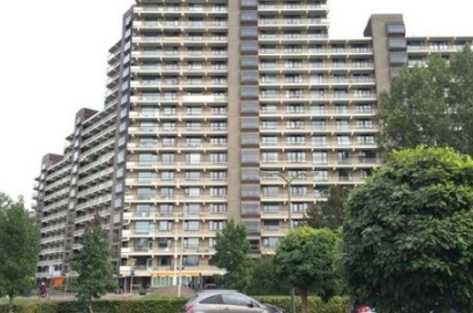 Groningensingel 