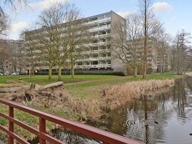 Isabellaland , Den Haag
