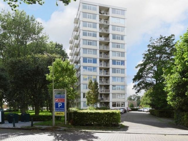 Tarwekamp , Den Haag