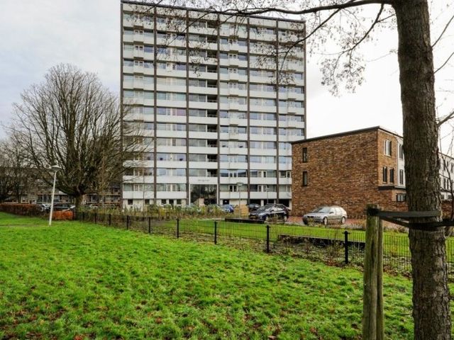 Roggekamp , Den Haag