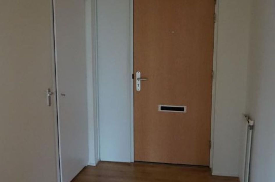 Roggekamp 