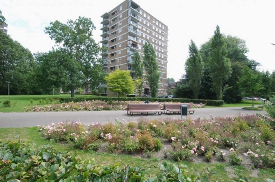 Hendrinaland 
