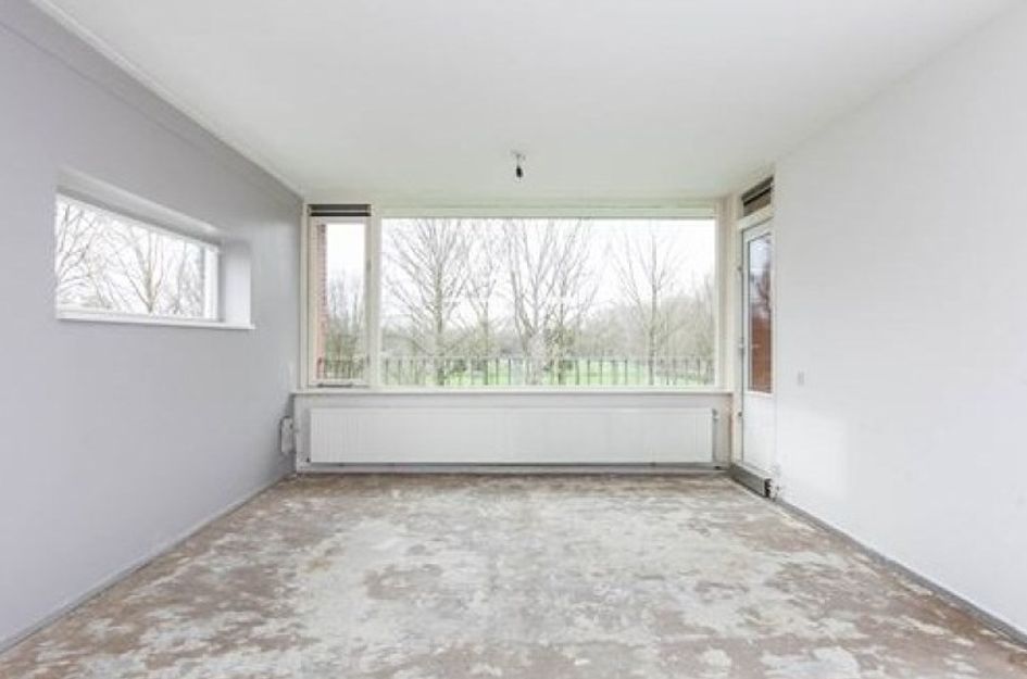Meijhorst 