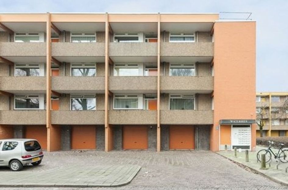 Meijhorst 