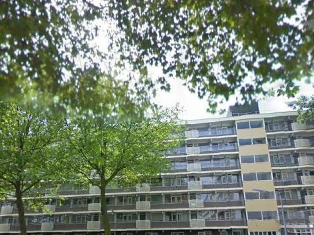 Erasmuslaan , Hilversum