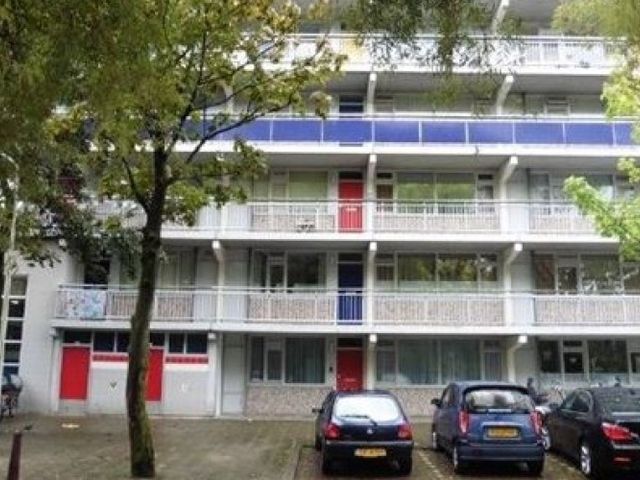 Milanenhorst , Leiden