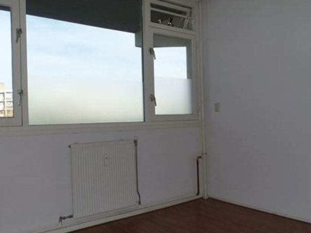 Milanenhorst , Leiden
