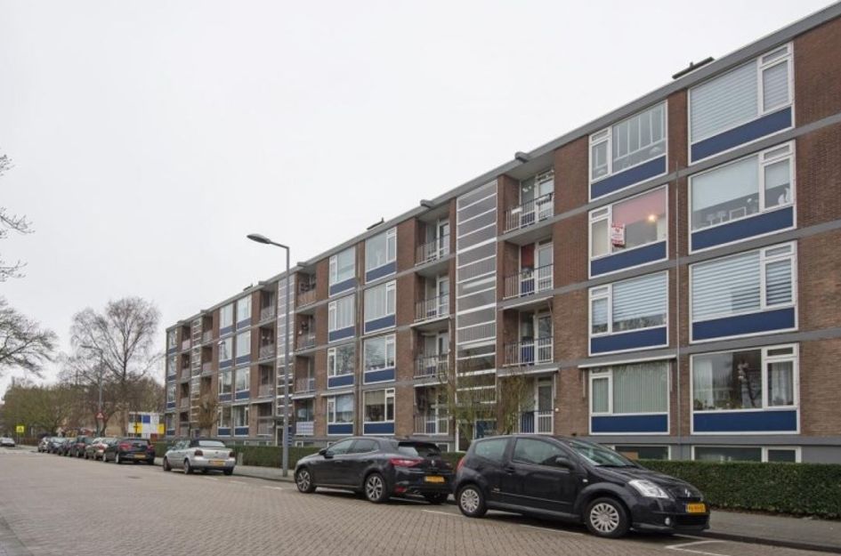 Vegelinsoord 