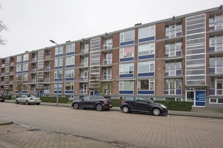Buizenwerf 