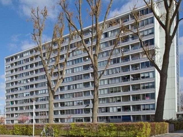 Plein 1953 , Rotterdam