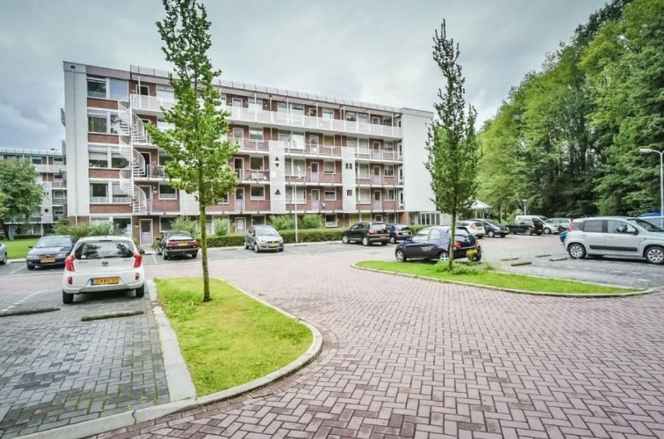 Leverkruidweg 