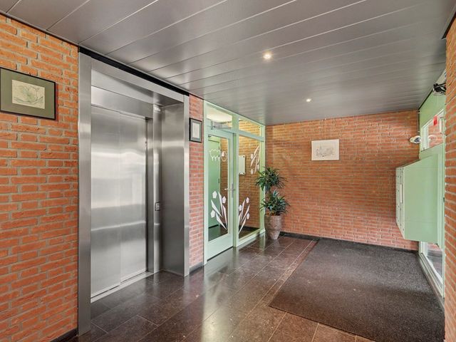Boskwartier 104, Strijen
