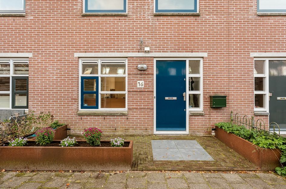 Hollandse Aak 16