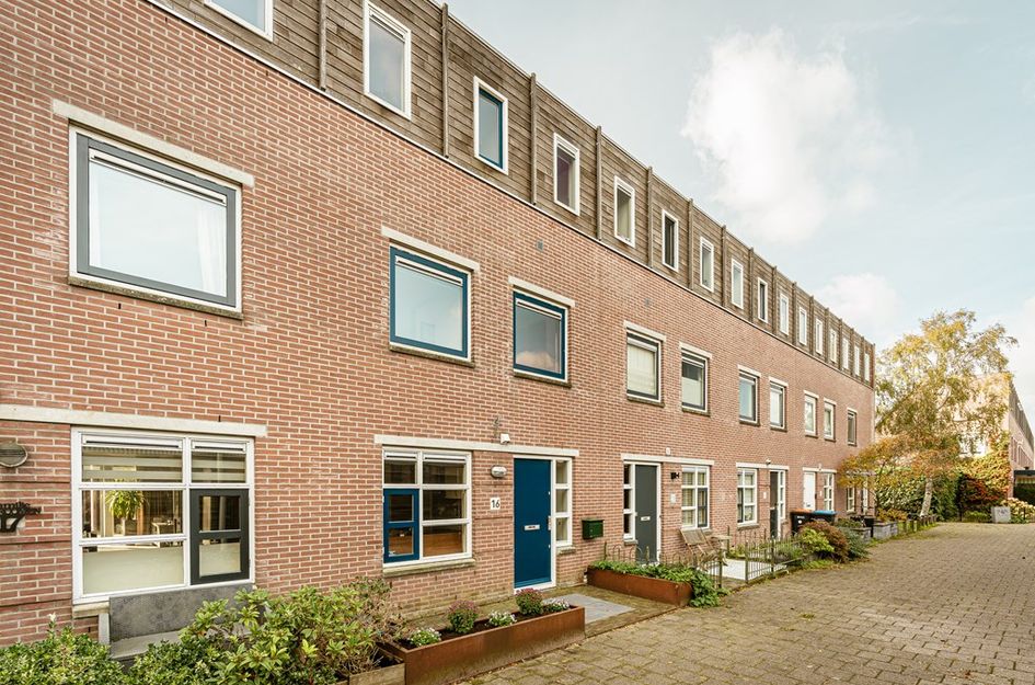 Hollandse Aak 16