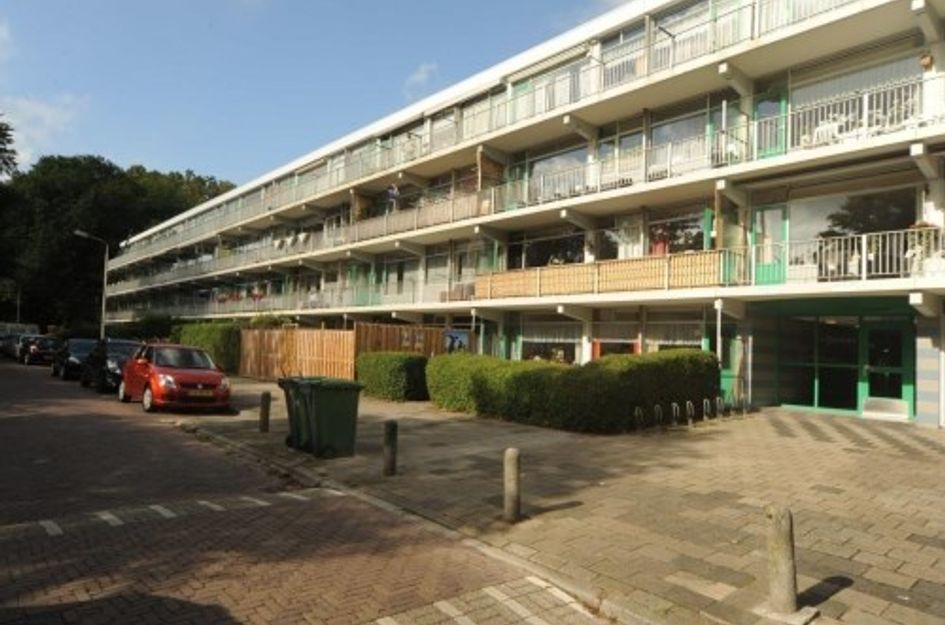 Pijperring ONG