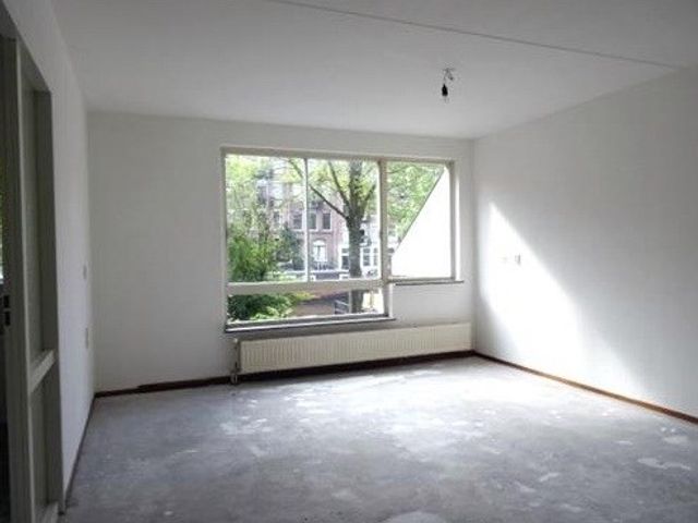 Adriaen van der Doeslaan ONG, Rotterdam