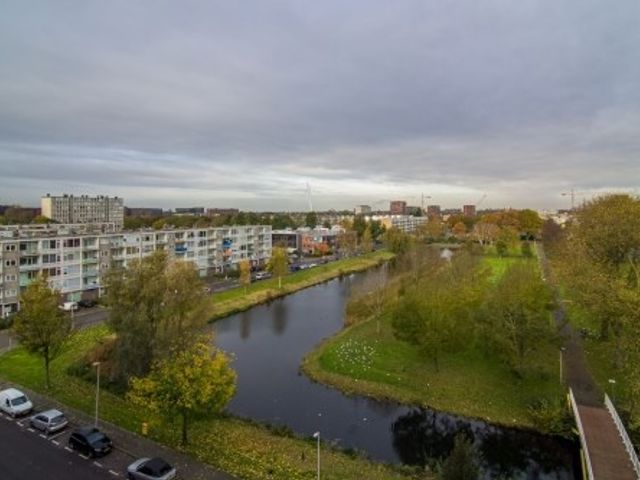 Marco Pololaan ONG, Utrecht