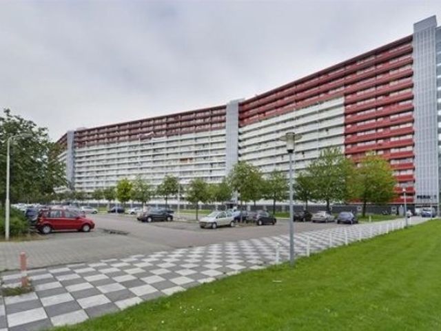 Perim ONG, Zaandam
