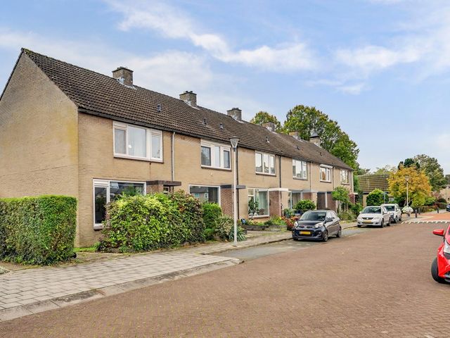Troelstrastraat 12, Strijen